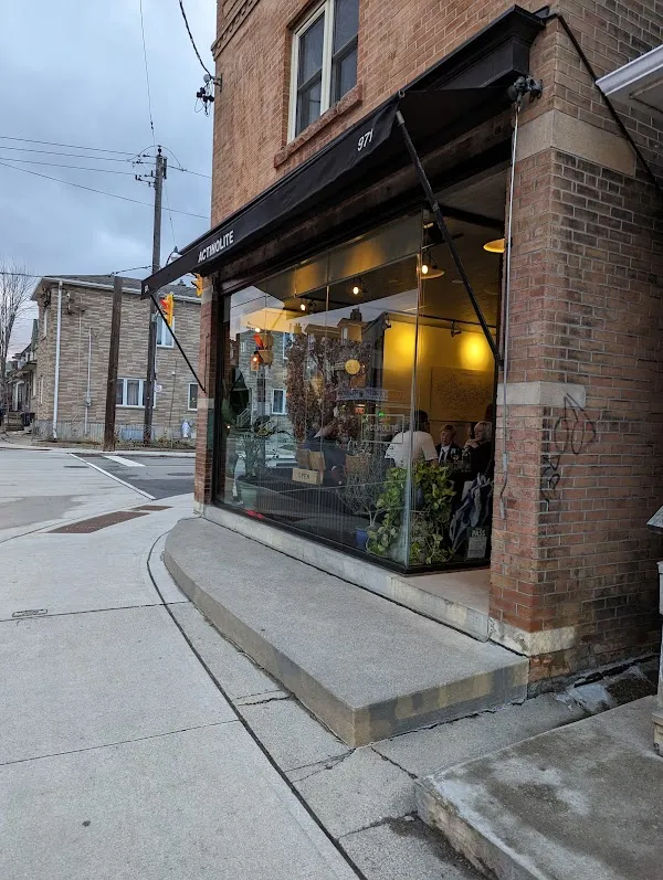 Actinolite — Canadian restaurant in Toronto
