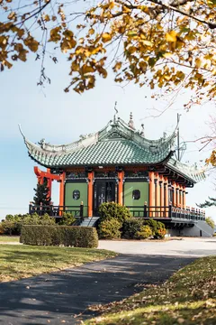 Afternoon Tea & Dining at The Chinese Tea House — Tea Room restaurant in Newport