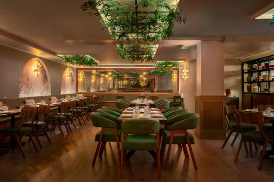 Anemi Modern Greek — Greek restaurant in New York