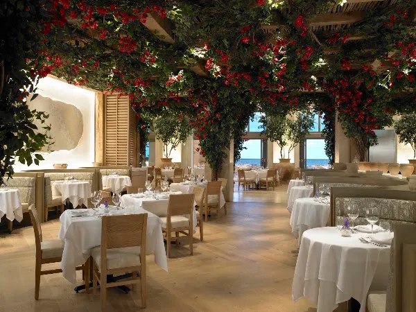 Avra Miami — Greek restaurant in Miami