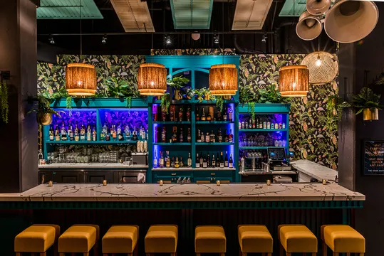 Bar Goa — Indian restaurant in Chicago
