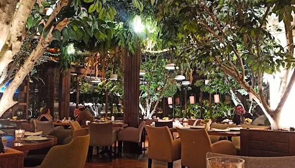Blanco Bistro Bosques — French restaurant in Ciudad de México