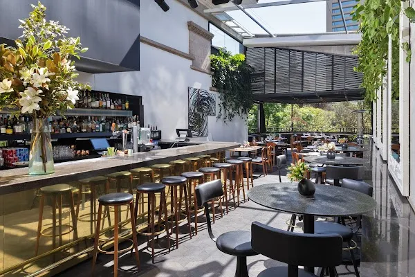 Blanco Castelar — Fusion restaurant in Ciudad de México