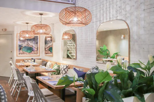 Bluestone Lane - Harvard Square — Australian restaurant in Boston