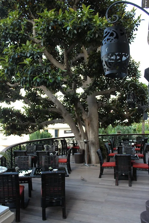Buddha-Bar Monte-Carlo — Fusion restaurant in Monaco