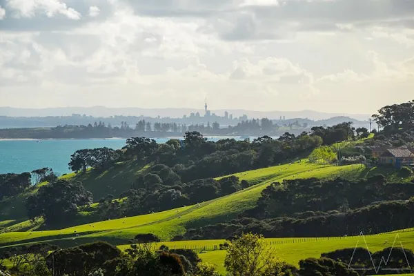 Cable Bay Vineyard — Other restaurant in Oneroa, Waiheke