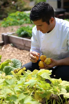 Cafe Beaujolais — Californian restaurant in Mendocino County