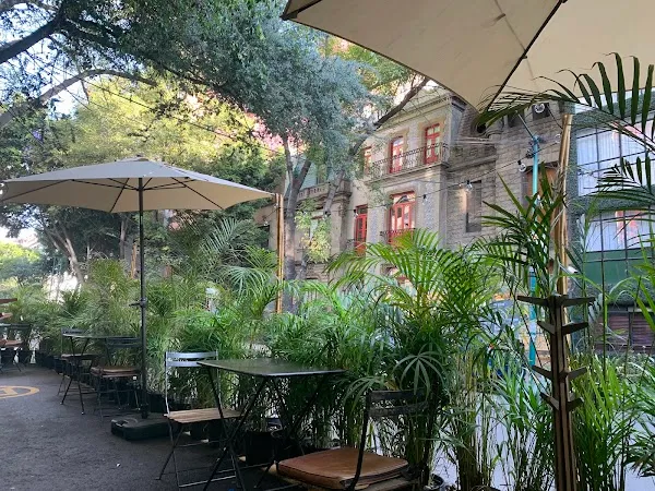 Cafe Nin — Italian restaurant in Ciudad de México
