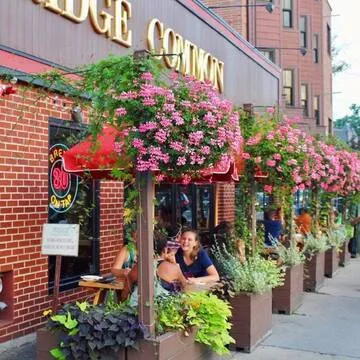 Cambridge Common — American restaurant in Boston
