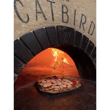 Catbird Asbury Park — Pizza restaurant in Asbury Park