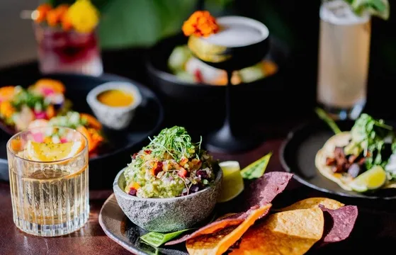 COA Rooftop — Mexican restaurant in Nashville