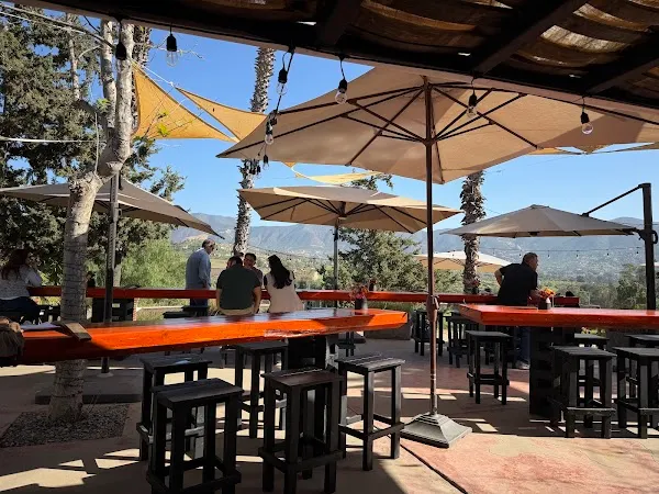 Conchas de Piedra — Oyster Bar restaurant in Francisco Zarco, Baja California
