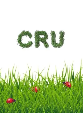Cru Lounge Houston — American restaurant in Houston