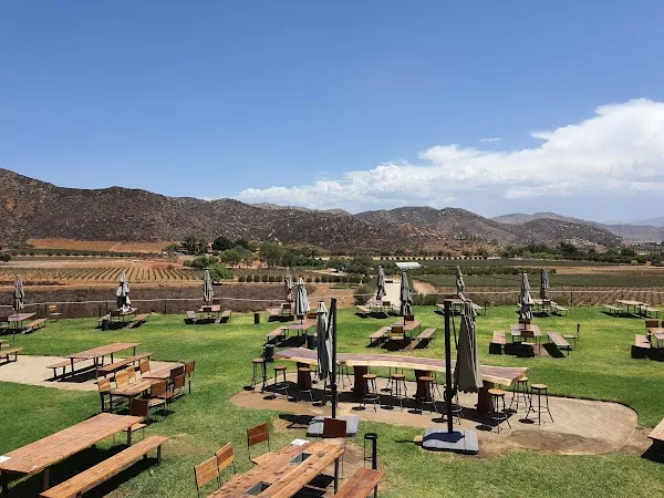 Decantos — Other restaurant in Ensenada