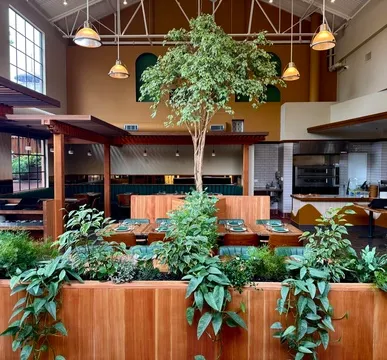 Divan — Turkish restaurant in Berkeley
