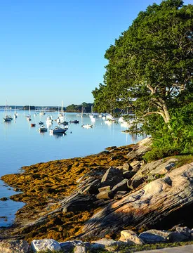 Dockside Grill — New American restaurant in Falmouth