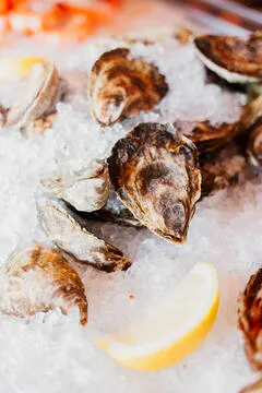 East Bay Oyster Bar — American restaurant in Barrington