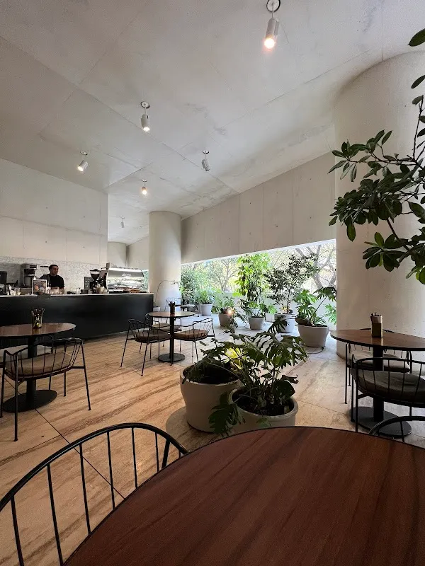 Eno Cervantes — Mexican restaurant in Ciudad de México