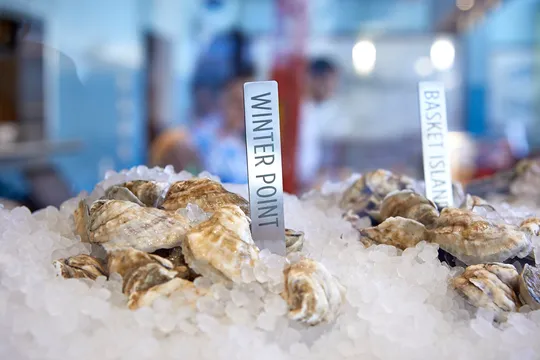 Eventide Fenway — Seafood restaurant in Boston