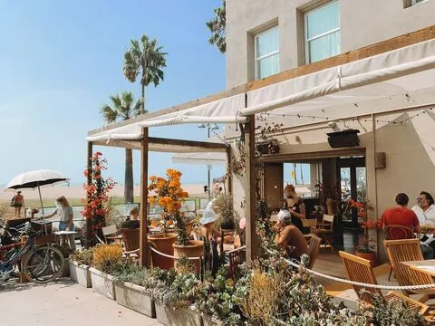 Fig Tree — Modern Latin restaurant in Los Angeles