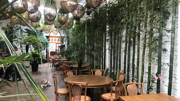 Galanga Thai House — Thai restaurant in Ciudad de México