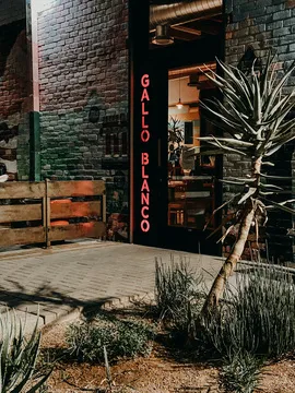 Gallo Blanco Cafe — Mexican restaurant in Phoenix