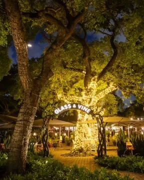 Glass & Vine — Contemporary American restaurant in Miami
