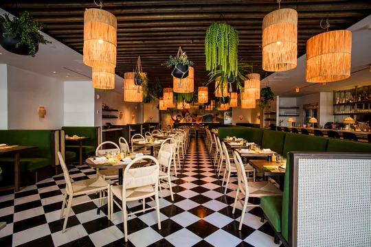Happy Monkey by Jean-Georges — Modern Latin restaurant in Greenwich