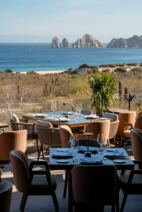 Harrys Cabo — Steakhouse restaurant in Cabo San Lucas