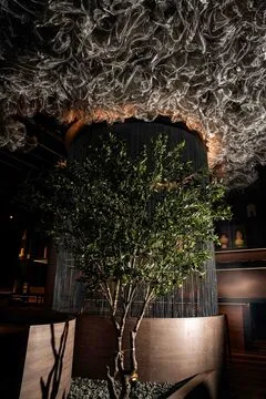 Hikari — Japanese restaurant in Surfside
