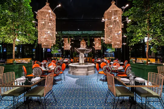 ilili DC — Lebanese restaurant in Washington D.C.