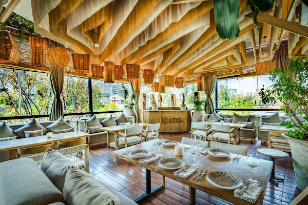 Ilios Masaryk — Greek restaurant in Ciudad de México