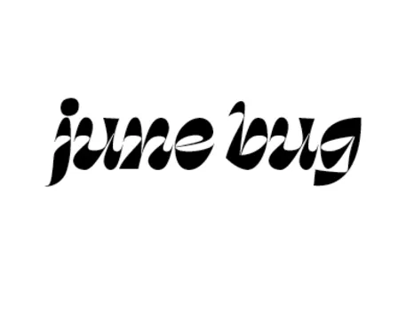 June Bug — New American restaurant in Somerville