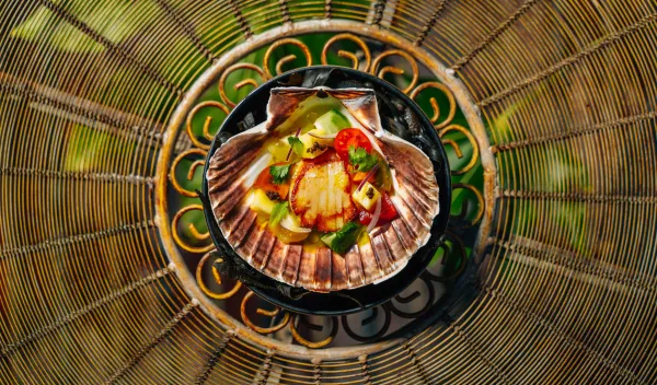 Jurema at The Mandrake — Bar, Fine Dining, South American restaurant in London