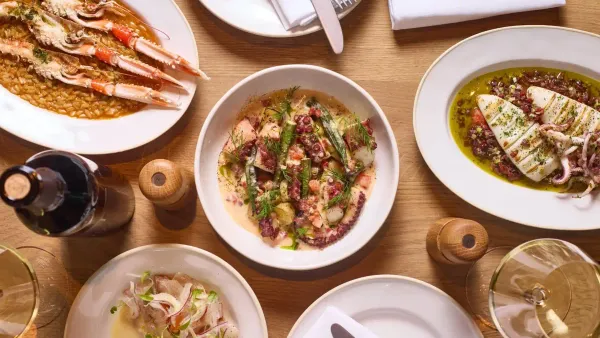 Krokodilos — Greek, Mediterranean, Seafood restaurant in London