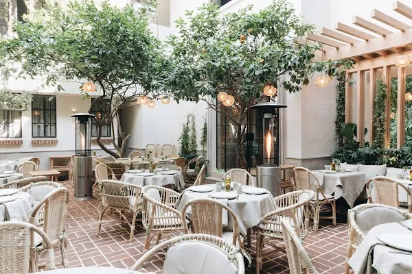 Lampuga — Italian restaurant in Ciudad de México