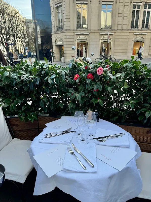 L'Avenue — French restaurant in Paris