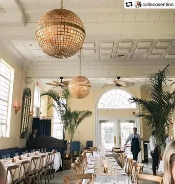 Le Fat Poodle — International restaurant in Greenwich
