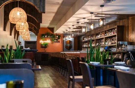 Leo — New American restaurant in Annapolis