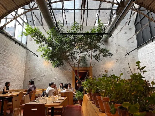 Maximo Bistrot — Fusion restaurant in Ciudad de México