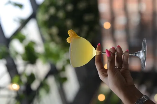 Mayamezcal — Mexican restaurant in New York