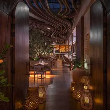 Meduza Mediterrania - New York — Mediterranean restaurant in New York