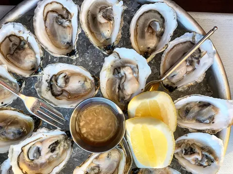 Nina June — Italian restaurant in Rockport