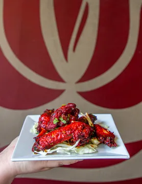 Nirvana Indian Cuisine — Indian restaurant in New Orleans