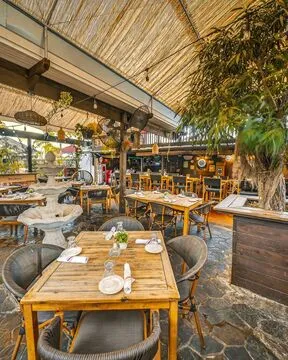Old's Havana — Cuban restaurant in Miami