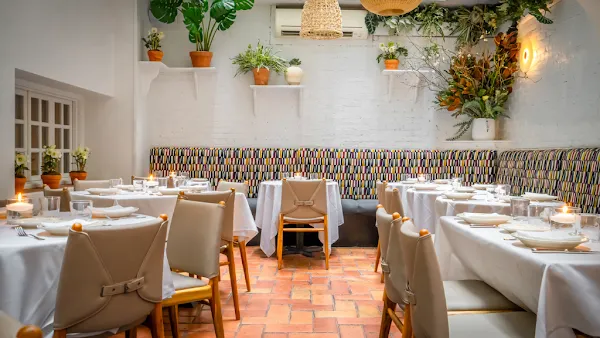 OPTO — Mediterranean restaurant in New York