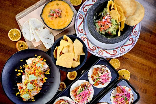 Pacifico — Modern Latin restaurant in New Haven