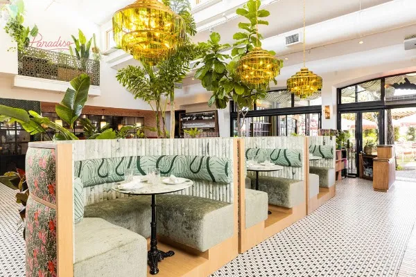 Paradiso — Mediterranean restaurant in Dallas
