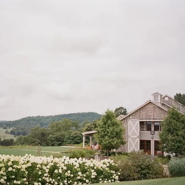 Pippin Hill Farm & Vineyards — American restaurant in Charlottesville