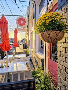 Pomelo — Thai restaurant in New Orleans